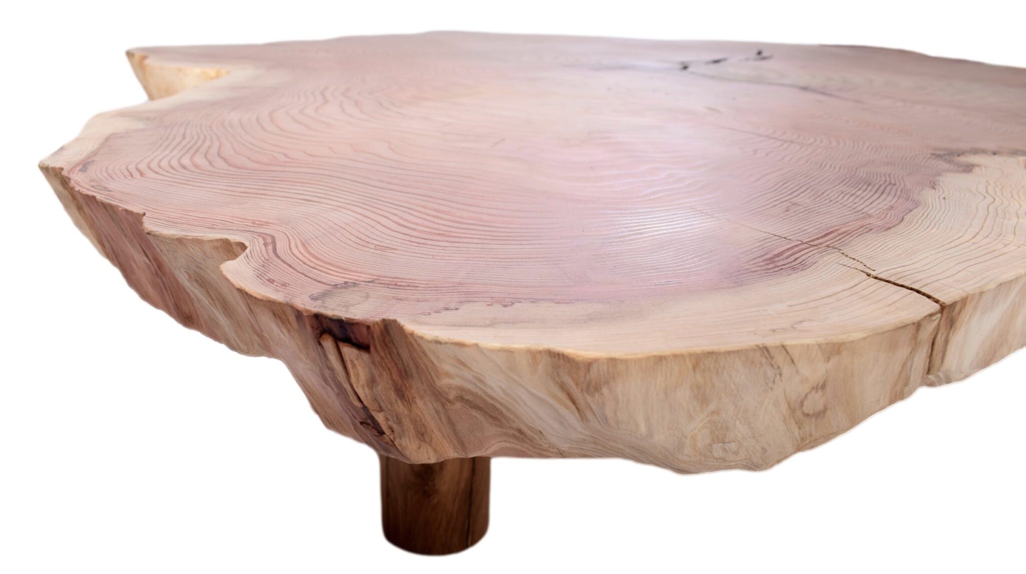 Grande table basse tronc d'arbre 'BIG COOKIE' Penone Design