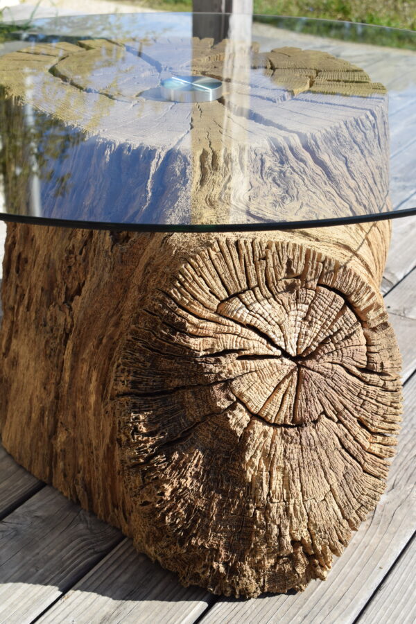 Table basse tronc d'arbre verre