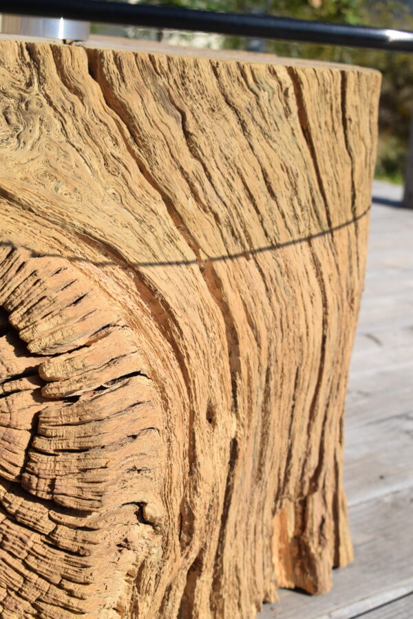 Table basse tronc d'arbre verre