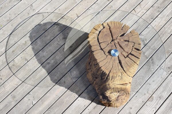 Table basse tronc d'arbre verre