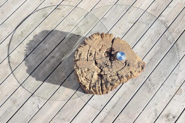 Table basse tronc d'arbre verre