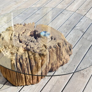 Table basse tronc d'arbre verre