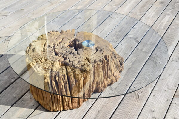 Table basse tronc d'arbre verre