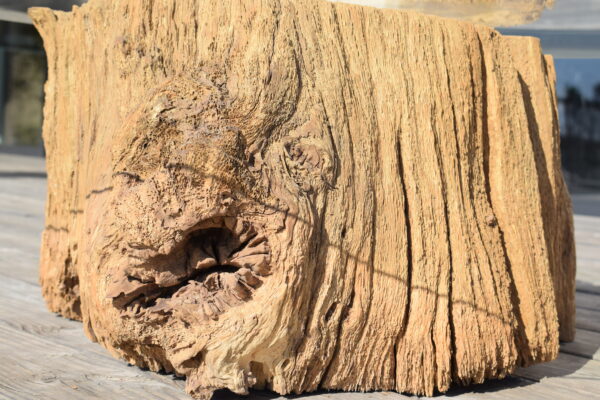 Table basse tronc d'arbre verre