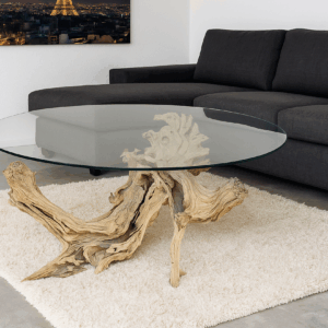 Table basse racine tronc d'arbre Olivier de Provence verre